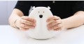 bear13