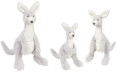 kangaroos
