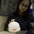 duck4