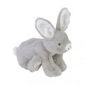 rabbit_rio
