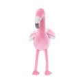 flam8