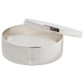 plasterin silver2